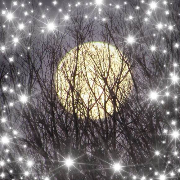 Meet your Posher, Susan - Picture 1 of 1